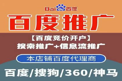 专业sem竞价托管服务，案例解析提升广告效果